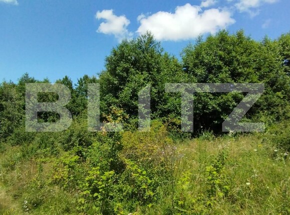 Teren de vânzare Salicea - 119905TV | BLITZ Cluj-Napoca | Poza1