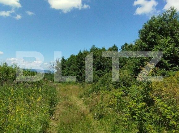 Teren de vânzare Salicea - 119905TV | BLITZ Cluj-Napoca | Poza4