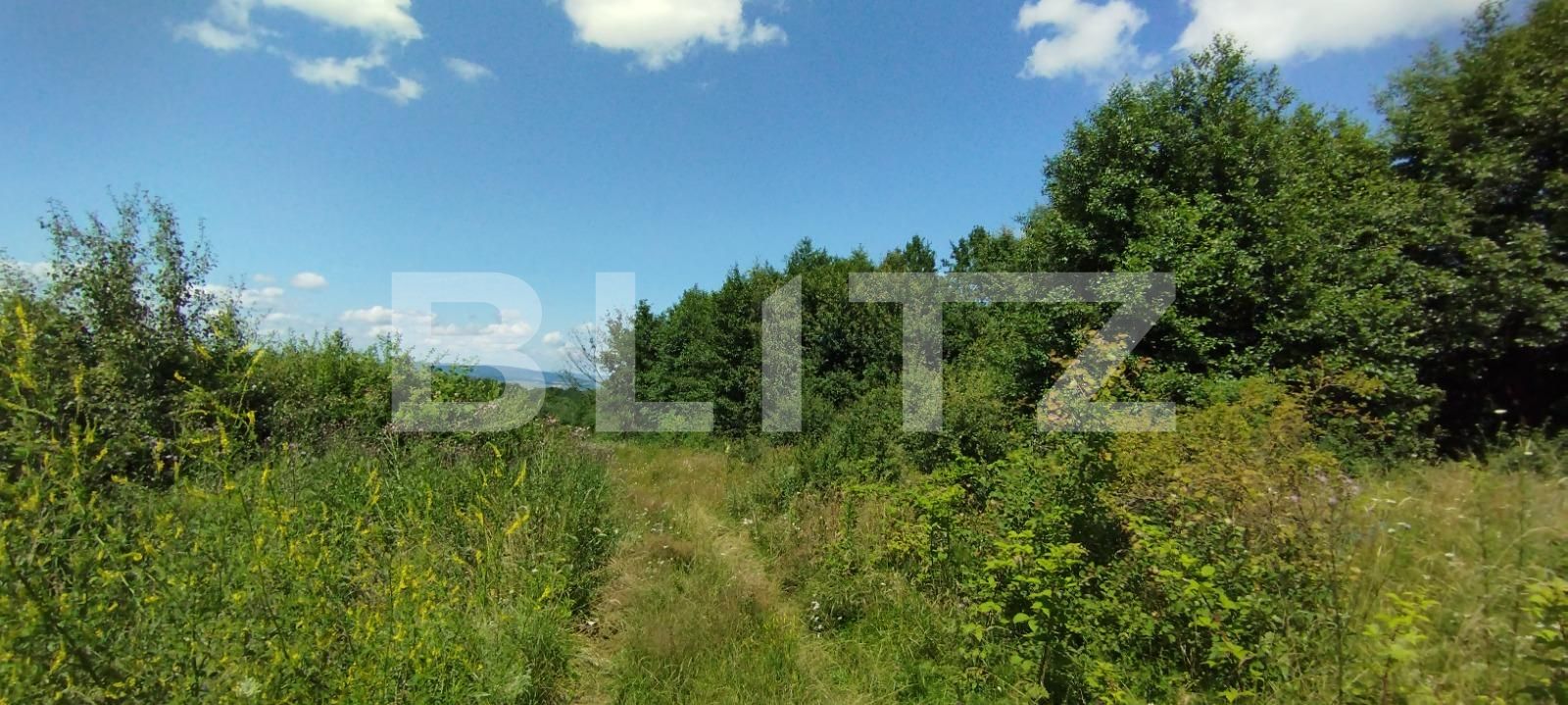 Teren de vânzare Salicea - 119905TV | BLITZ Cluj-Napoca | Poza4