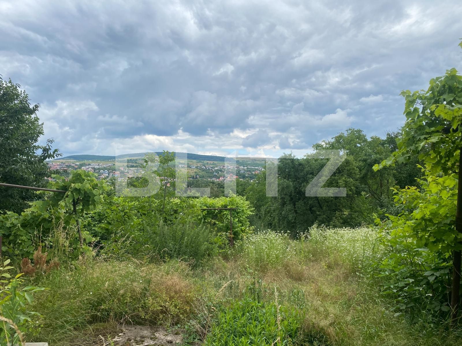 Casa de vânzare 3 camere Gruia - 119906CV | BLITZ Cluj-Napoca | Poza3