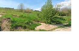 Teren 2960 mp, Salicea