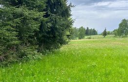 Oportunitate ! Teren extravilan, 4800 mp, Sat Rasca