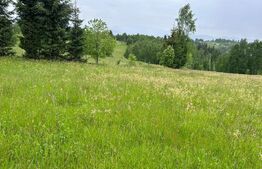 Oportunitate ! Teren extravilan, 4800 mp, Sat Rasca