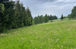 Oportunitate ! Teren extravilan, 4800 mp, Sat Rasca