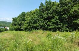 Teren 2800 mp, 2 parcele, PUZ avansat, Faget