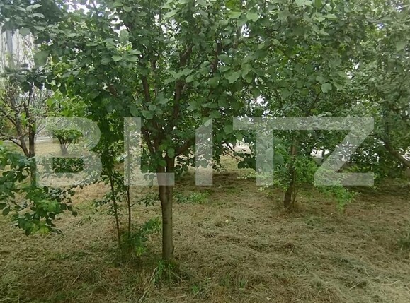 Casa de vânzare 6 camere Sannicoara - 120012CV | BLITZ Cluj-Napoca | Poza7