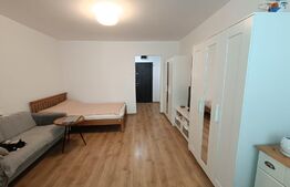 Garsoniera 28 mp, etaj intermediar, Manastur