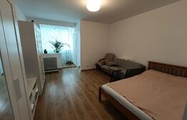 Garsoniera 28 mp, etaj intermediar, Manastur