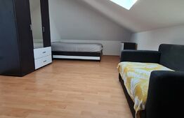 Apartament mobilat si utilat, 2 camere, aer conditionat, 49mp, Floresti