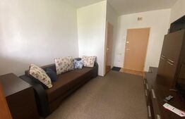 Garsoniera mobilata si utilata, 21 mp, zona Dambul Rotund