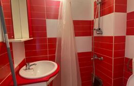 Garsoniera mobilata si utilata, 21 mp, zona Dambul Rotund