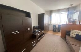 Garsoniera mobilata si utilata, 21 mp, zona Dambul Rotund