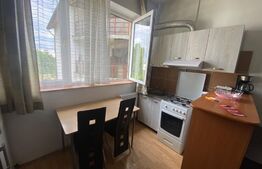 Garsoniera mobilata si utilata, 21 mp, zona Dambul Rotund