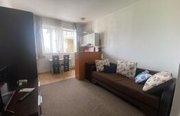 Garsoniera mobilata si utilata, 21 mp, zona Dambul Rotund