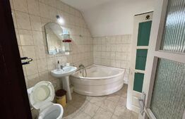 Spatiu de birou, 260 mp, curte, 8 parcări, panouri solare, zona Corneliu Coposu