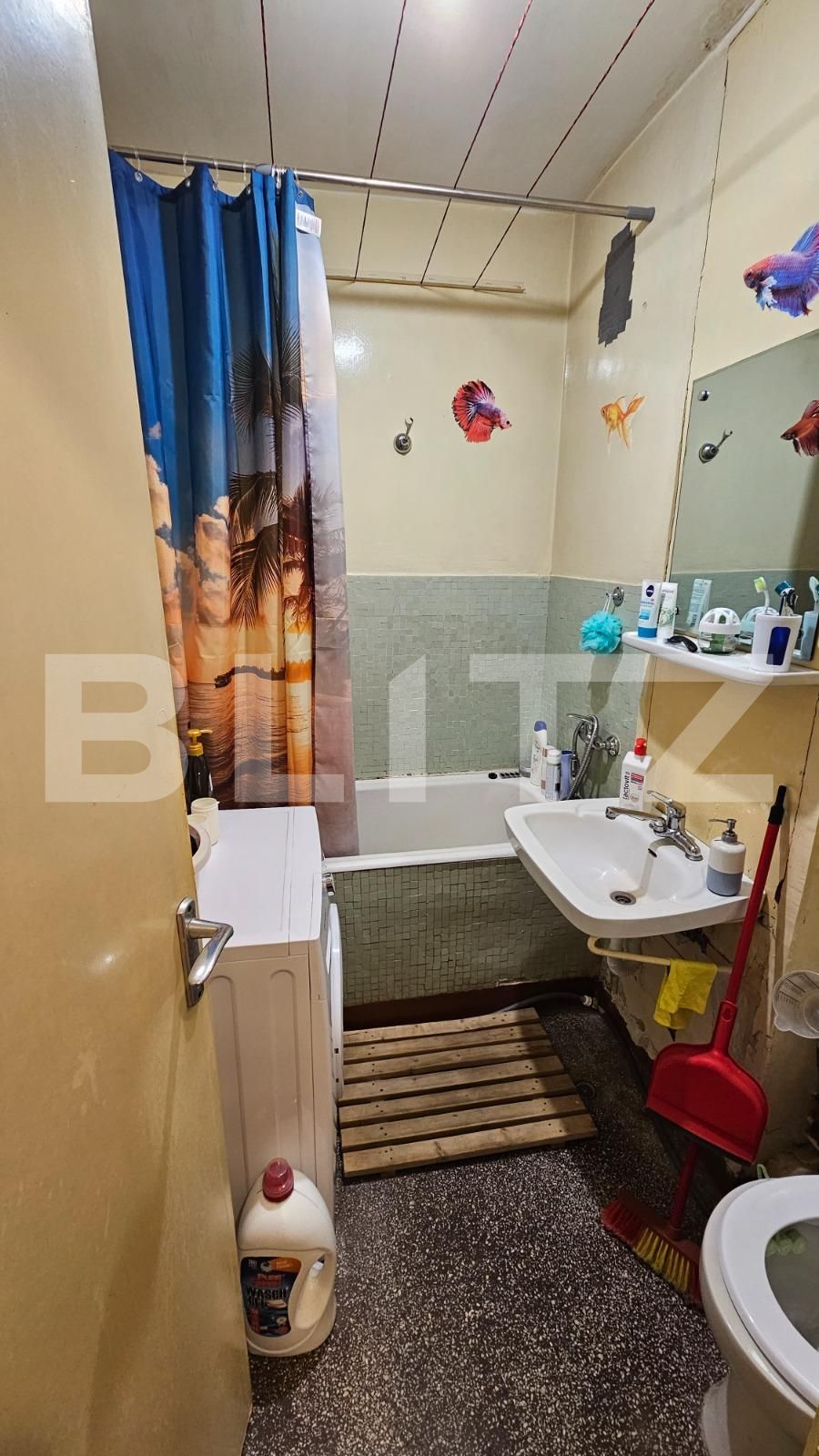 Garsonieră de vânzare Gheorgheni - 120180AV | BLITZ Cluj-Napoca | Poza5