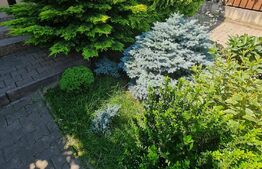 Casa tip duplex, 4 camere, 120mp, 239 mp de teren, zona parcului Poligon