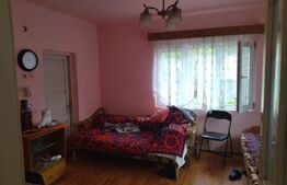 Casa Frasinet Baisoara, 100 mp utili, 1ha teren, 4 camere