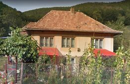 Casa Frasinet Baisoara, 100 mp utili, 1ha teren, 4 camere