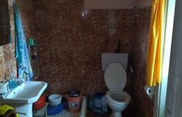 Casa Frasinet Baisoara, 100 mp utili, 1ha teren, 4 camere