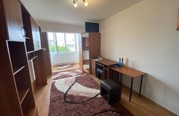Garsoniera, 24 mp utili, zona Expo Transilvania