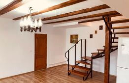 Oferta! Casa individuala, 820 mp teren, Suceagu