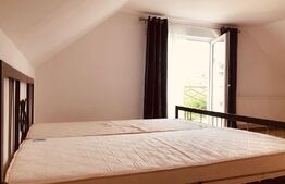 Oferta! Casa individuala, 820 mp teren, Suceagu