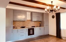 Oferta! Casa individuala, 820 mp teren, Suceagu