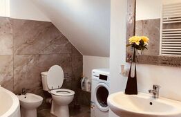 Oferta! Casa individuala, 820 mp teren, Suceagu