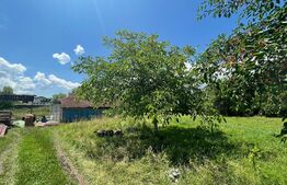 Teren intravilan construibil, 5000mp, utilitati la teren, acces din DN, Tohanu Nou