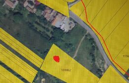 Teren intravilan construibil, 5000mp, utilitati la teren, acces din DN, Tohanu Nou