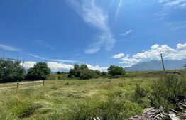 Teren intravilan construibil, 5000mp, utilitati la teren, acces din DN, Tohanu Nou