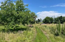 Teren intravilan construibil, 5000mp, utilitati la teren, acces din DN, Tohanu Nou