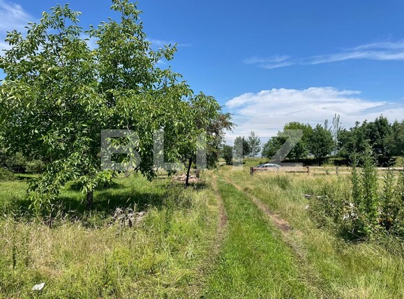 Teren de vânzare Zarnesti - 120293TV | BLITZ Brașov | Poza1