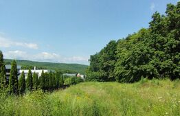 Teren 1405 mp, PUZ avansat, Faget