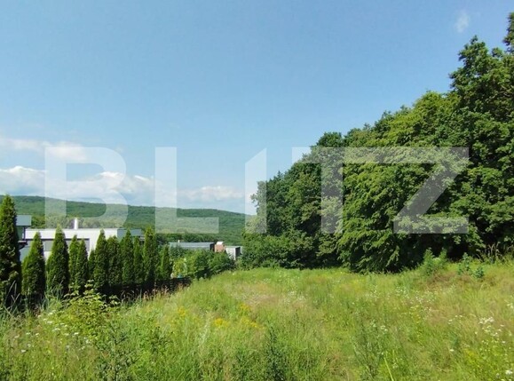 Teren de vânzare Făget - 120342TV | BLITZ Cluj-Napoca | Poza2