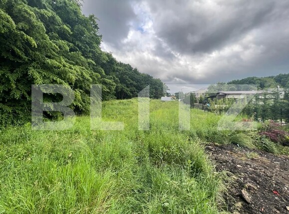 Teren de vânzare Făget - 120343TV | BLITZ Cluj-Napoca | Poza1