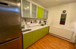 3 camere, 100 mp, scara interioara, pet friendly, parcare, zona Pasapoarte