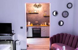 Garsoniera renovata, 28mp,  gradina individuala, situata Central