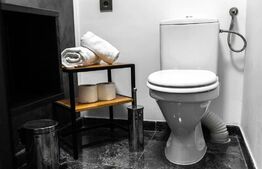 Garsoniera renovata, 28mp,  gradina individuala, situata Central