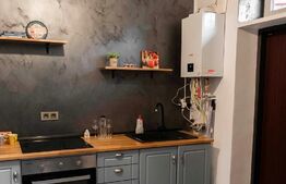 Garsoniera renovata, 28mp,  gradina individuala, situata Central