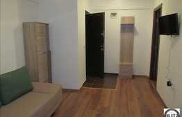 Apartament 3 camere, 64 mp utili, balcon, zona Muzeul Apei! Mobilat!