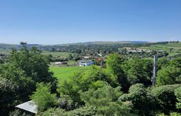 Oportunitate de investitie! Pensiune la cheie, 300 mp utili, 700 mp teren