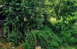 Apartament 2 camere, etaj 1, 54mp, parcare, zona VIVO