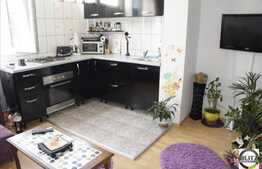 Garsoniera + nisa, 35 mp, mobilat modern, zona Expo Transilvania