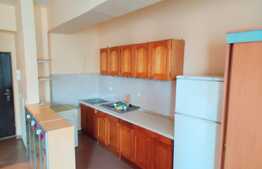 Apartament 1 camera, 32 mp, imobil nou, zona Kaufland