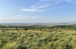 Teren intravilan, 1400 mp, Padureni