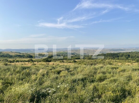 Teren de vânzare Padureni (Chinteni) - 120636TV | BLITZ Cluj-Napoca | Poza1