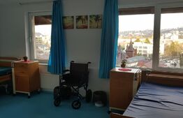 Casa 8 camere, 300 mp utili, 500 mp teren, Grigorescu