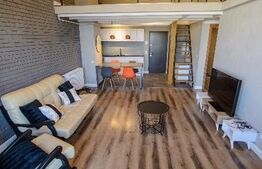Apartament 2 camere, 100 mp utili, parcare, petfriendly, zona Piata Mihai Viteazu